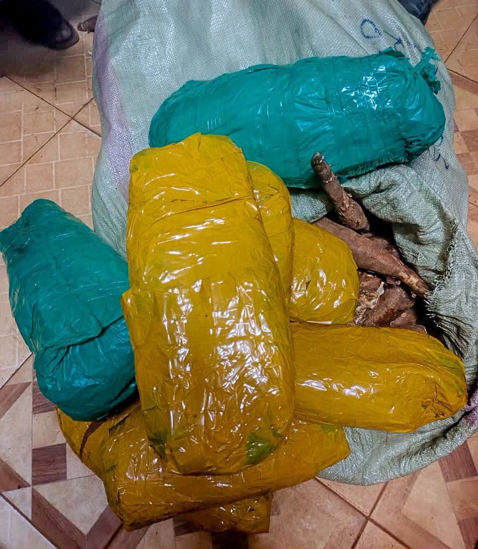 Police seize cannabis worth Sh169,500 in Busia, two suspects arrested