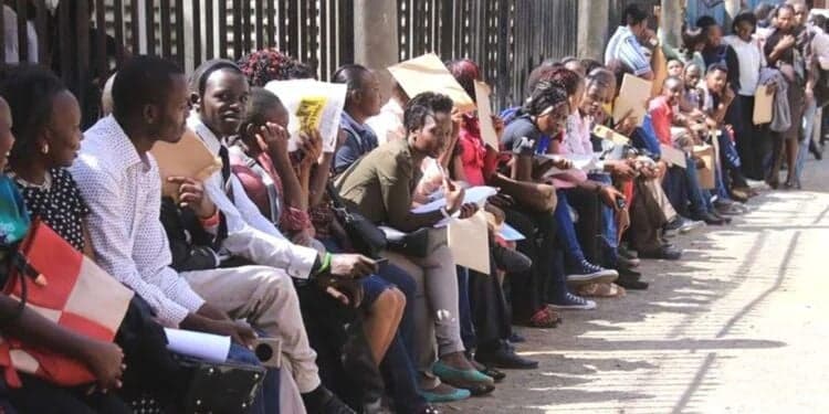 Top Private and Public Sector Industries Employing Kenyans