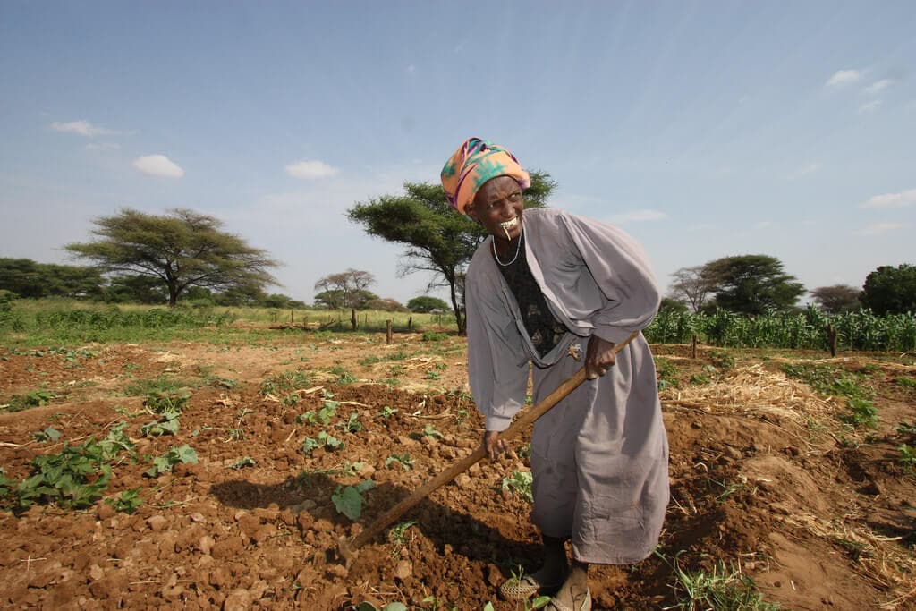 Equitel delivers discounted seeds to 40,000 farmers in EU-funded programme