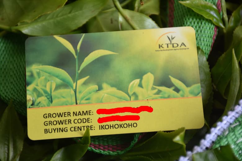Kenyan tea farmers bet on new technology at collection centres for efficiency and transparency