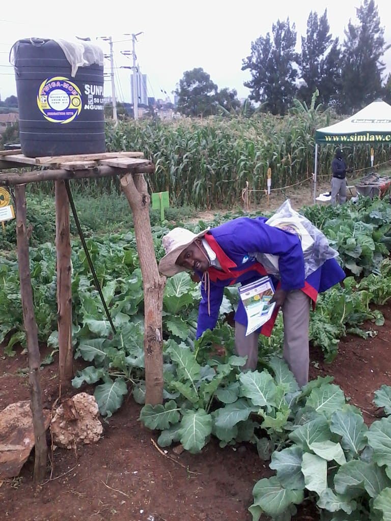 Drip kit saves over 70 per cent water in kitchen garden irrigation