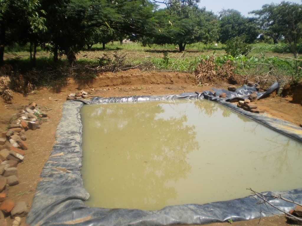 Weatherman: heavy rains expected during Nov-Dec short rains, farmers advised to take advantage