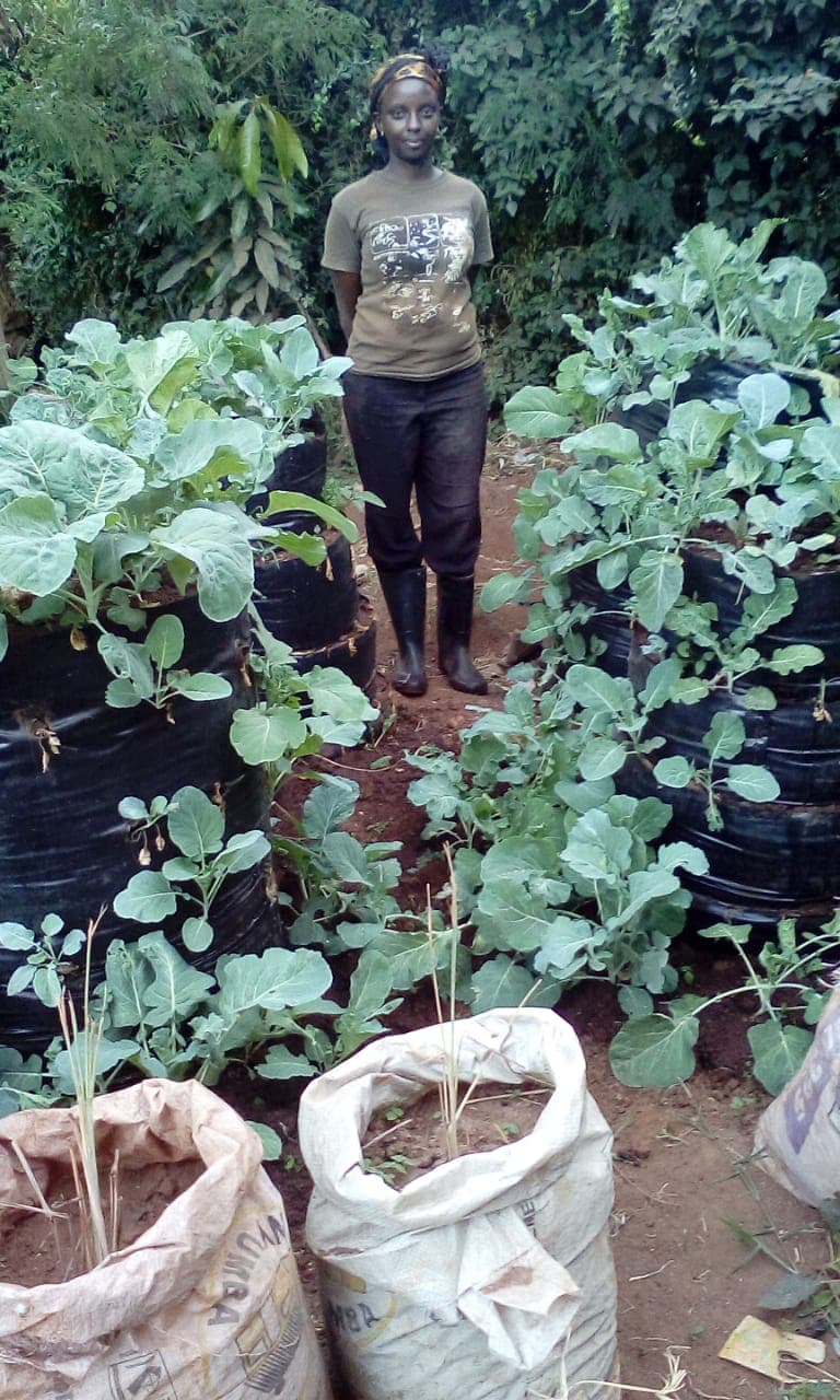 Artist farmers create urban farm hub from sacks and old plastic