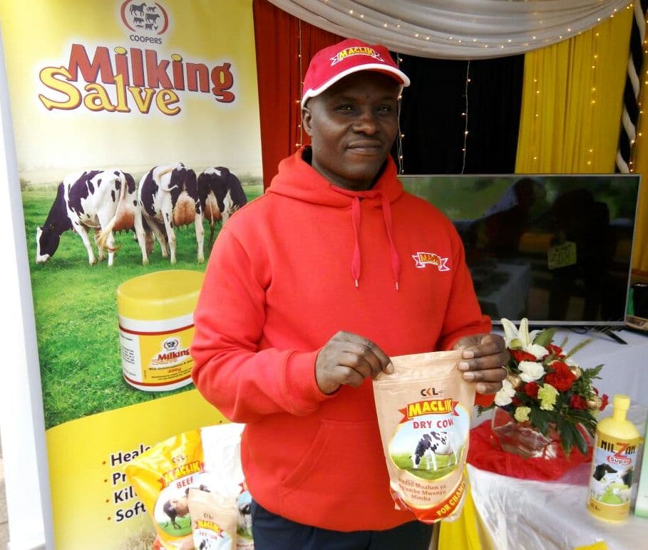 Salt supplements prevent milk fever, retained placenta and downer cow disease in cows after giving birth