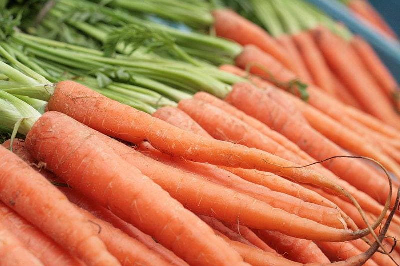 ABC’s of carrot cultivation