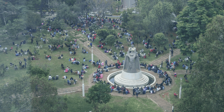 University Orientation and First Semester Survival Guide for 2026 KUCCPS Freshers: What to Expect and How to Prepare
