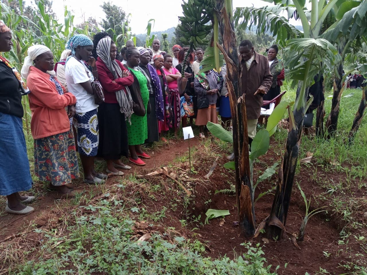Farmbiz Africa invites farmers and traders for a training workshop on how to export farm produce
