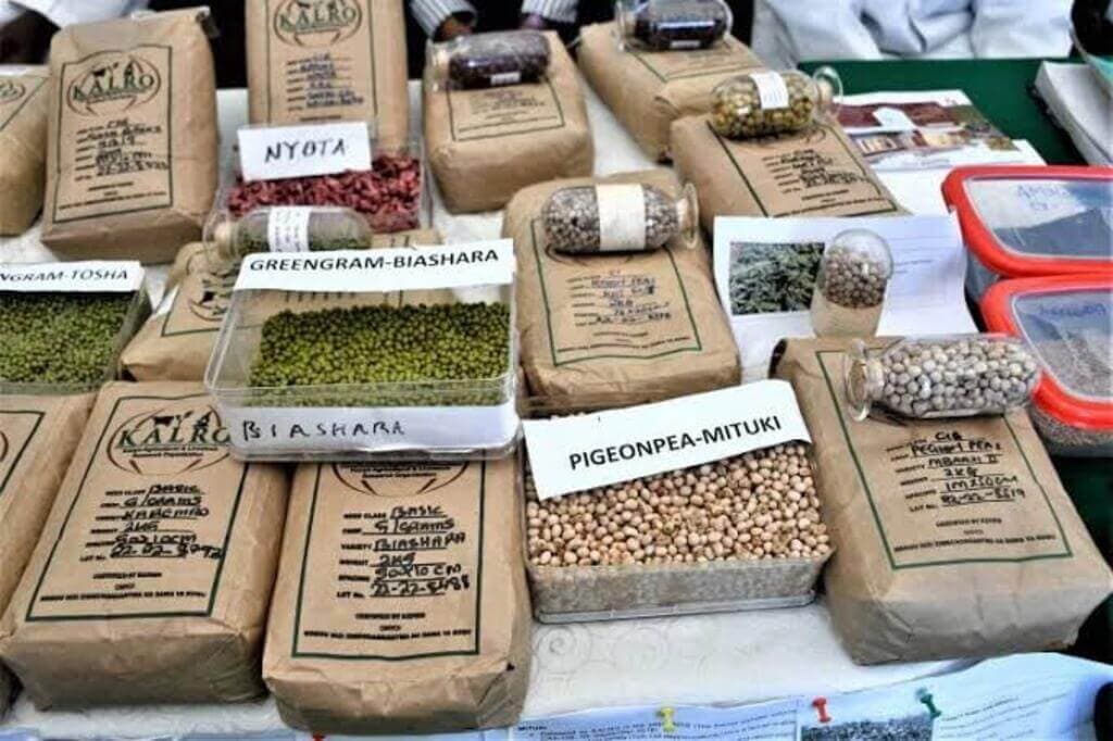 KEPHIS seed supplier list opens runway to 30% more yields for Kenyan farmers