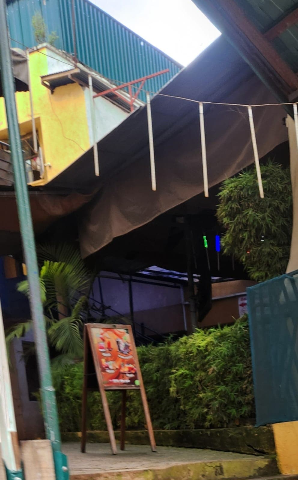 Businesses adopt green spaces to conserve environment