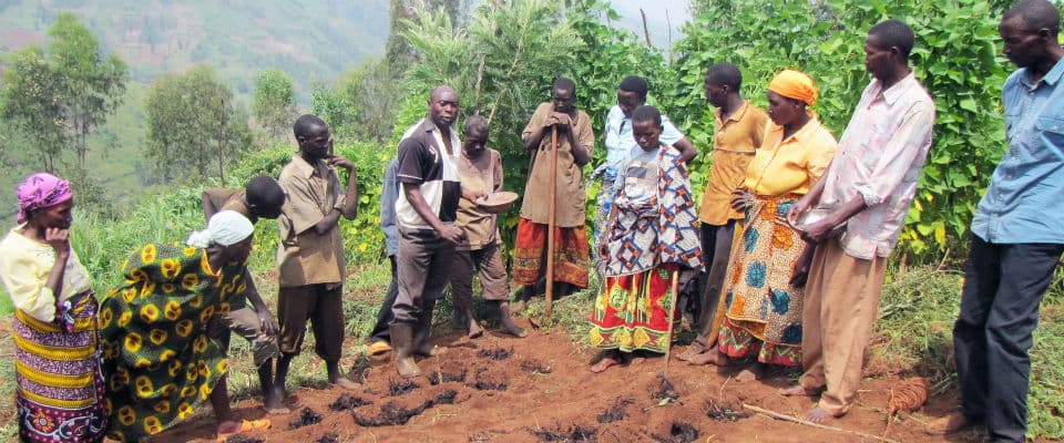 Tanzania farmers bet on farm project to double income and yields