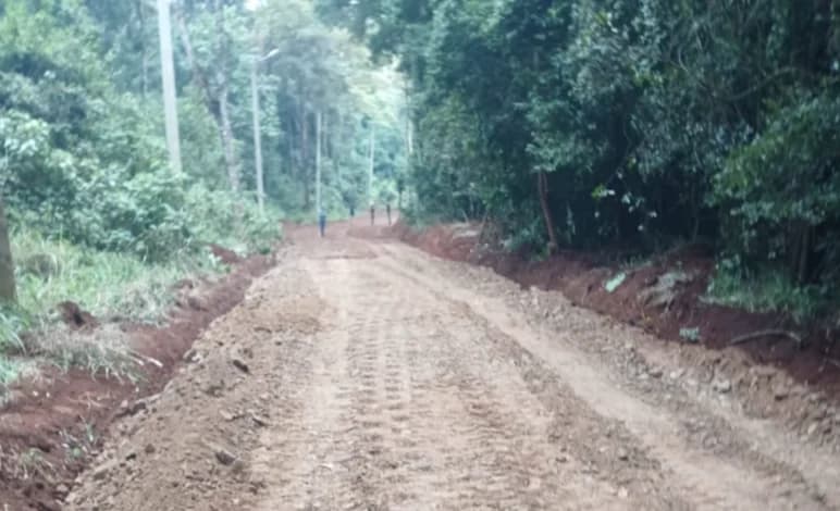 Storm at Karura: 300 Children Bursaries,196 Community Workers and Forest Projects Caught in the Crossfire