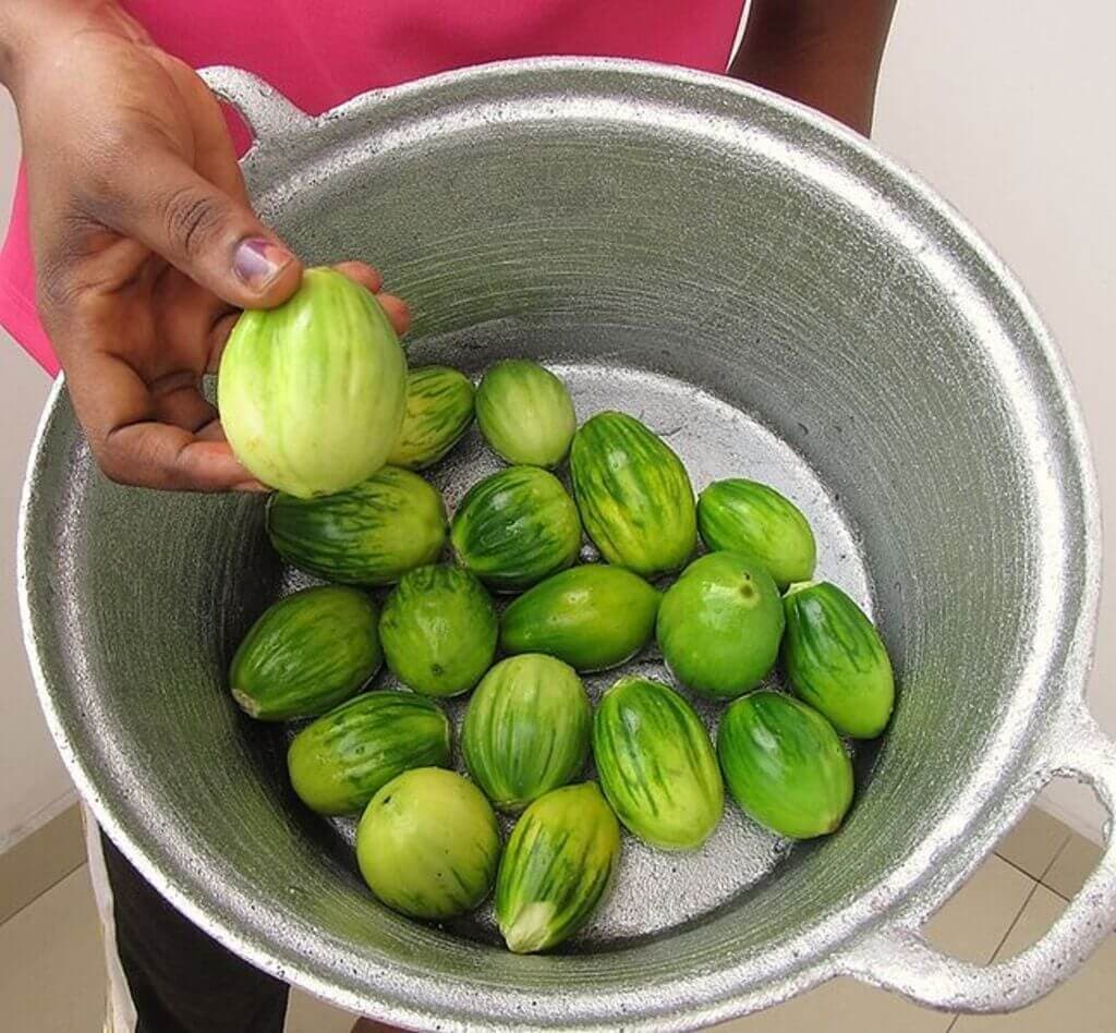 Makueni mom sheds 25 kgs replacing red meat with African eggplants