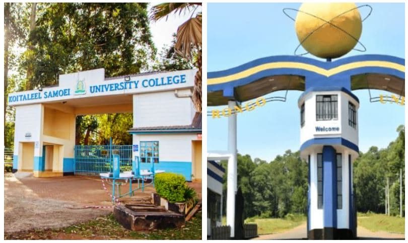 New Report Exposes Hiring Bias in Public Universities as 6 Communities Dominate Jobs