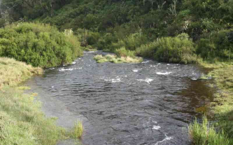 Casual worker drowns while bathing in Chania River