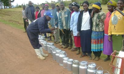 Milk processing plant takes urban dwellers back to farms
