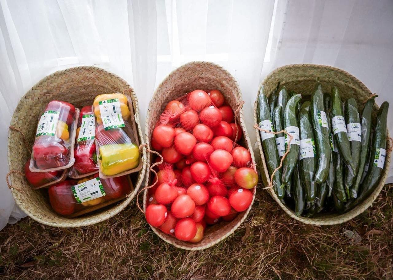 Kenya–Netherlands project to boost food safety, link farmers to premium markets