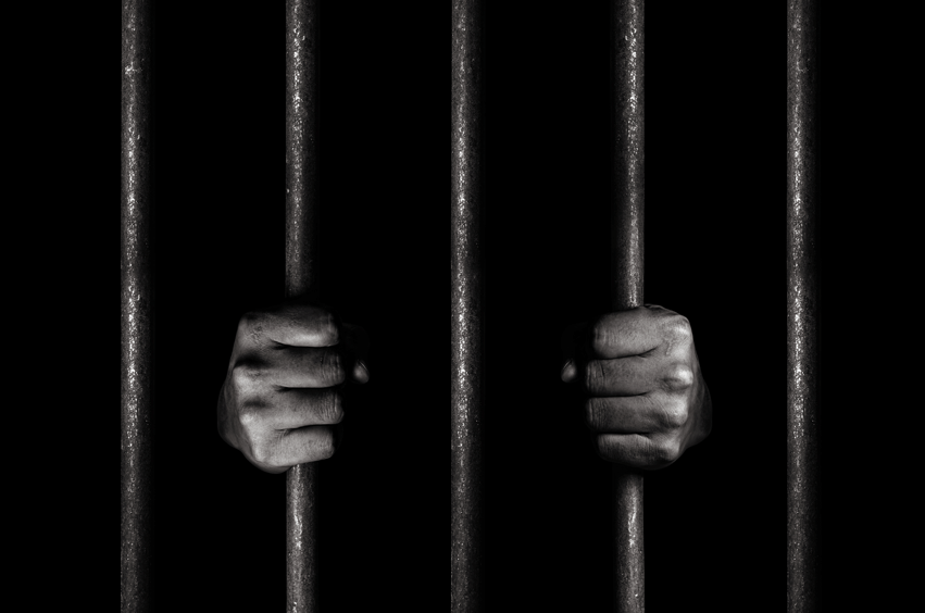 Son jail for assaulting mother over food