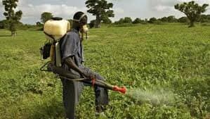 Industry has pesticides ready for locust spraying, as swarms threaten on delays