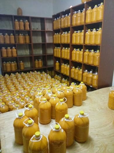 Value addition improves livelihoods of mango farmers in Kitui