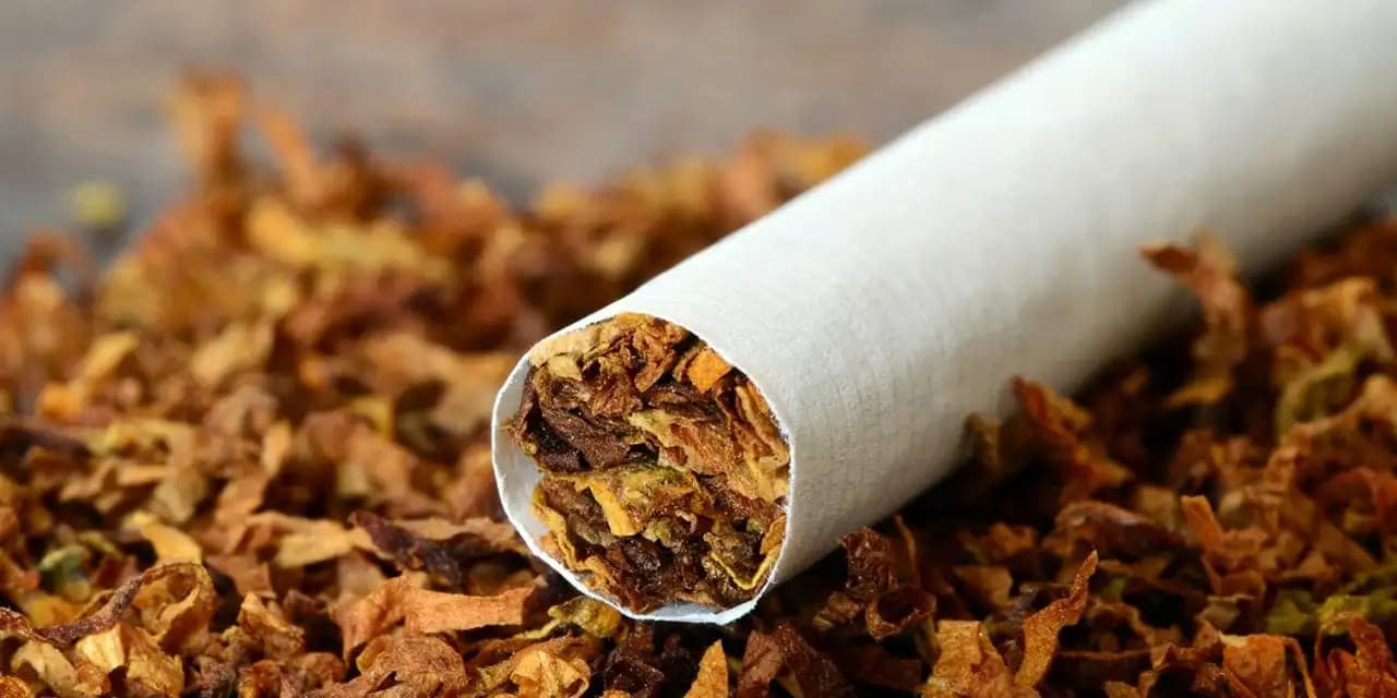 KNCCI Warns Tobacco Bill Could Increase Costs, Fuel Illicit Trade