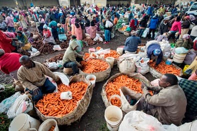Traders’ pricing sound the death knell for farmers’ income