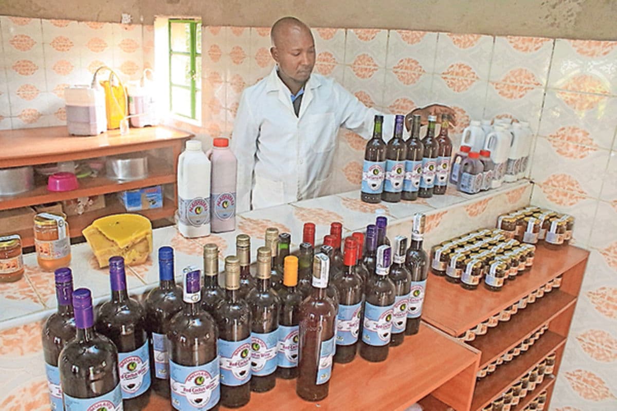 Laikipia trust employs 700+ women processing cacti and aloy