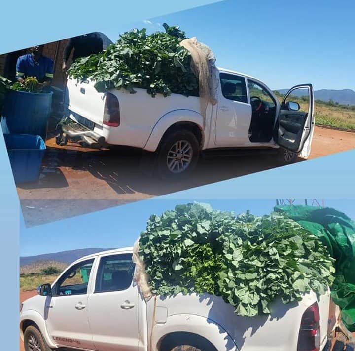 Fact Sheet: How farmers can get a permit to transport food through the lockdowns and curfew