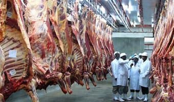 Eating less meat reduces climate change, study