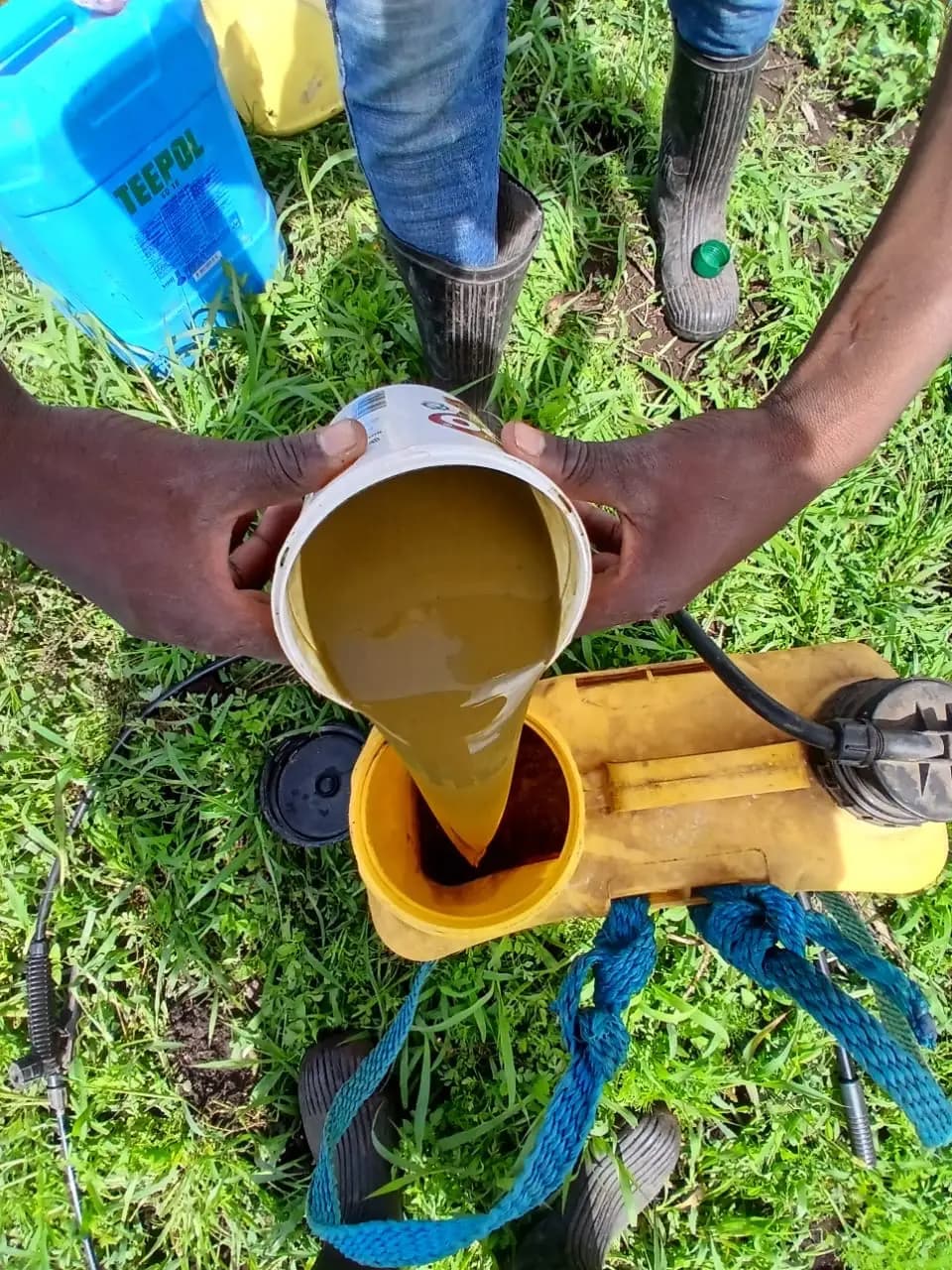 Agronomist invents home-made spray to lift French bean harvest over 40%