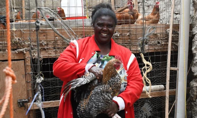 Improved poultry farming boosts incomes for Molo farmers