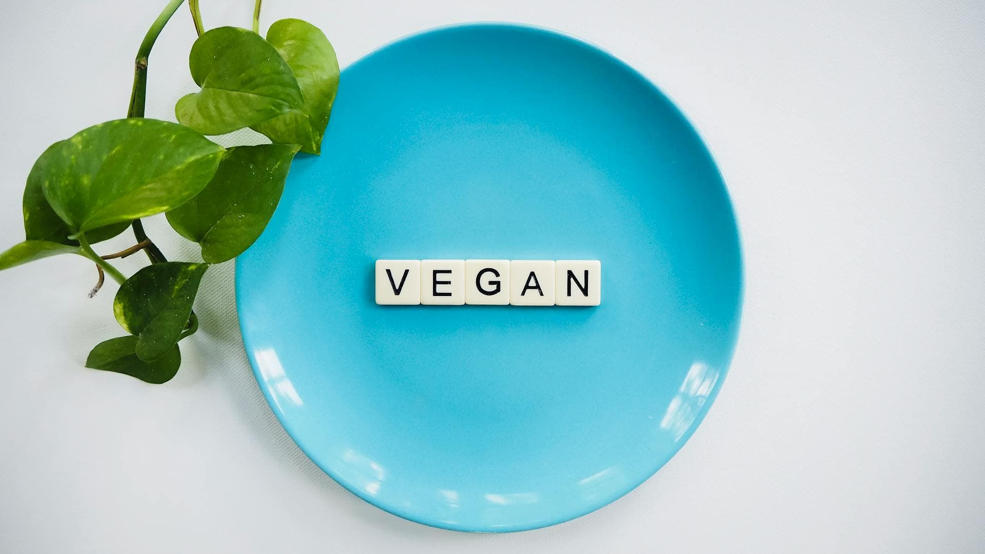 The Vegan’s Guide To Bulking Up