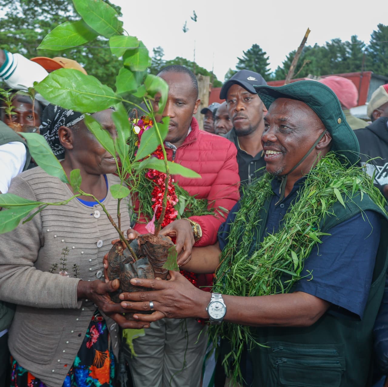 Kericho emerges as Kenya’s leading coffee producer as NCE records growth