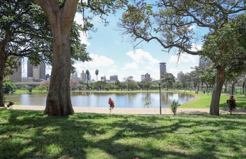 Green Belt Movement Blows the Whistle on Alleged Plan to Carve Up Uhuru and Central Park for a Highway