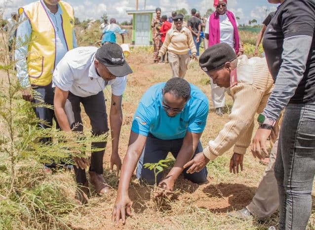 Efforts to restore degraded Solio land, bearing fruits through tree planting