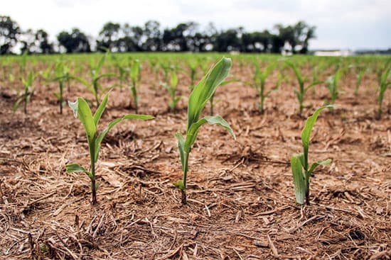 Export farmers go green to fast track accreditation