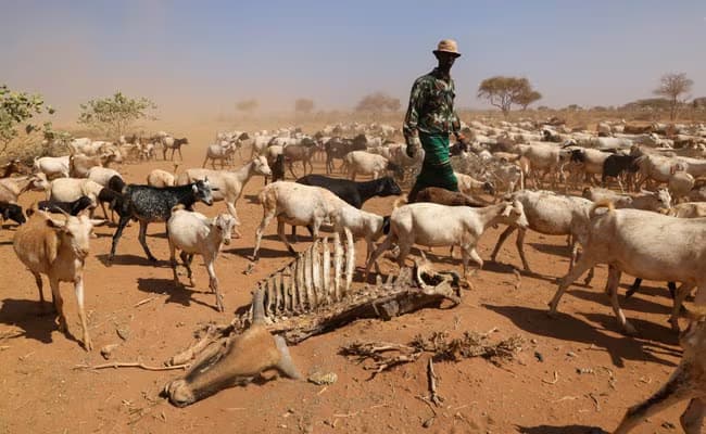 Parliament Urged to Approve Ksh19.9B for Expanding Drought Response
