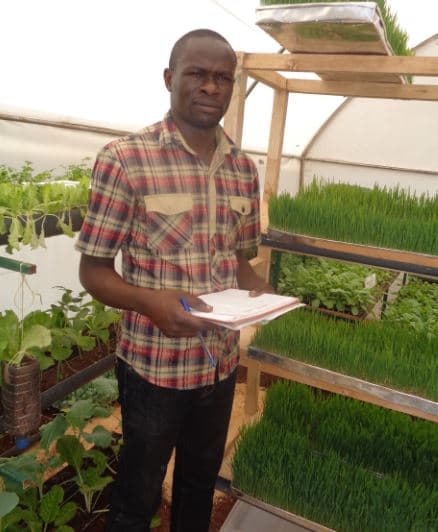 Farmers advised to use Clean, Natural Organic Humix Soil in GreenHouses