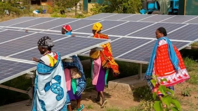 Africa’s Solar Manufacturing Ambitions Face New Test as China Moves to Restrict Technology Exports