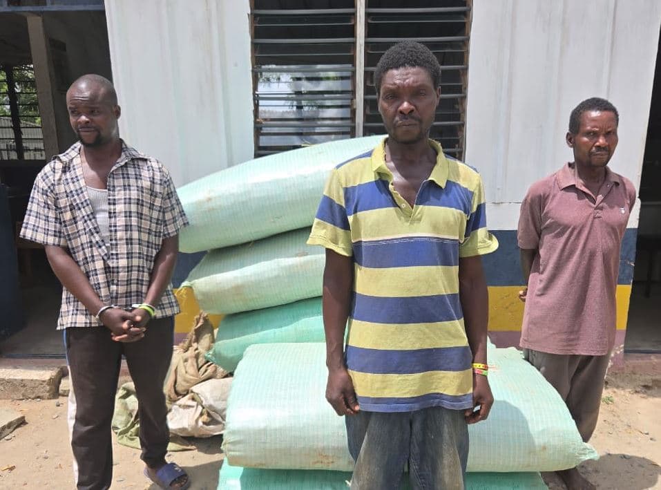 Three Arrested in Major Drug Bust in Kaloleni, Kilifi County