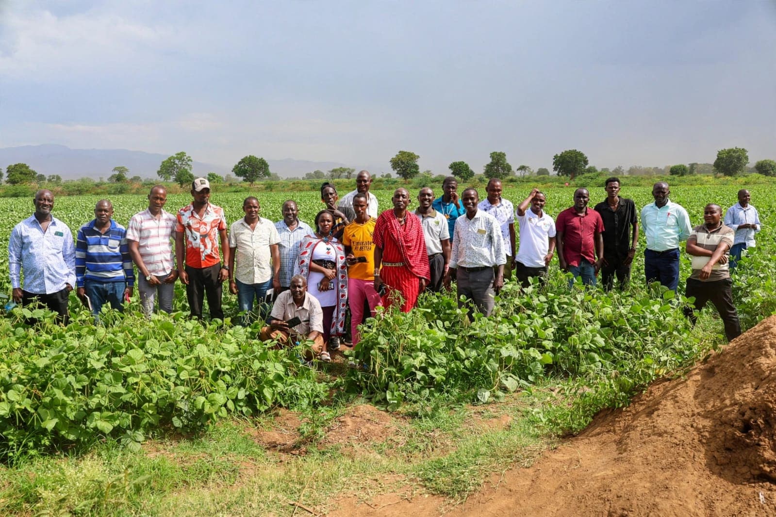 Enhancing productivity and management of irrigation schemes through benchmarking tours