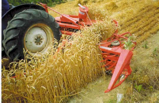 Wheat farm requires demos on tractor hires after crop losses