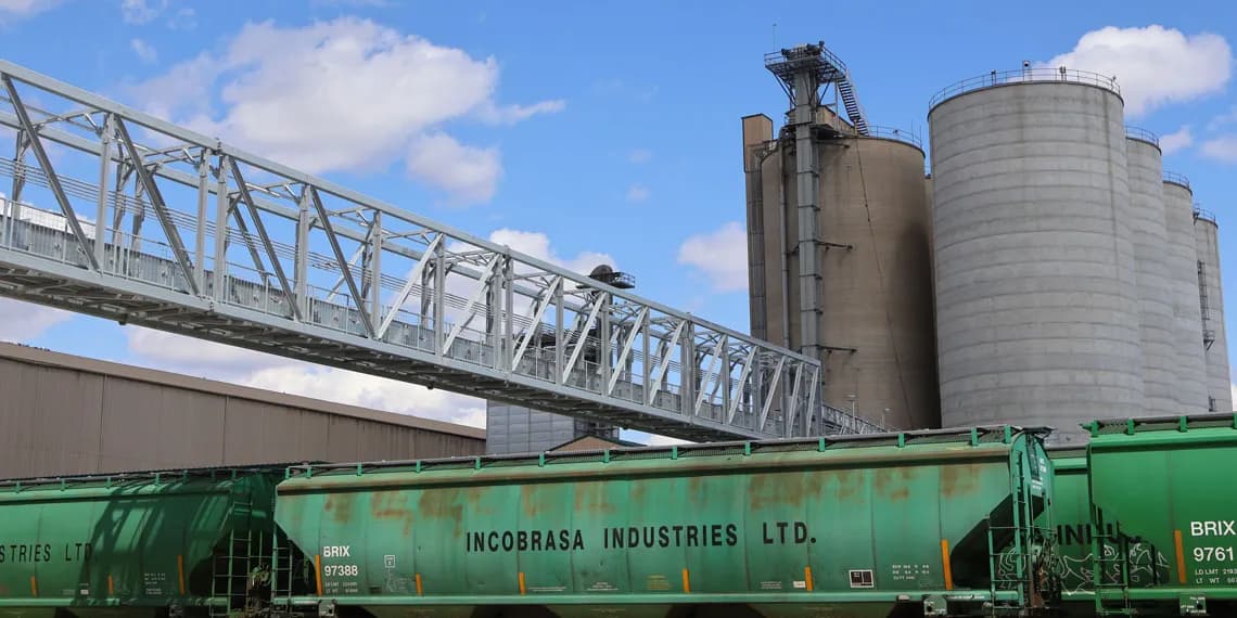 Incobrasa Opens $250 Million Soybean Processing Plant in Gilman Illinois