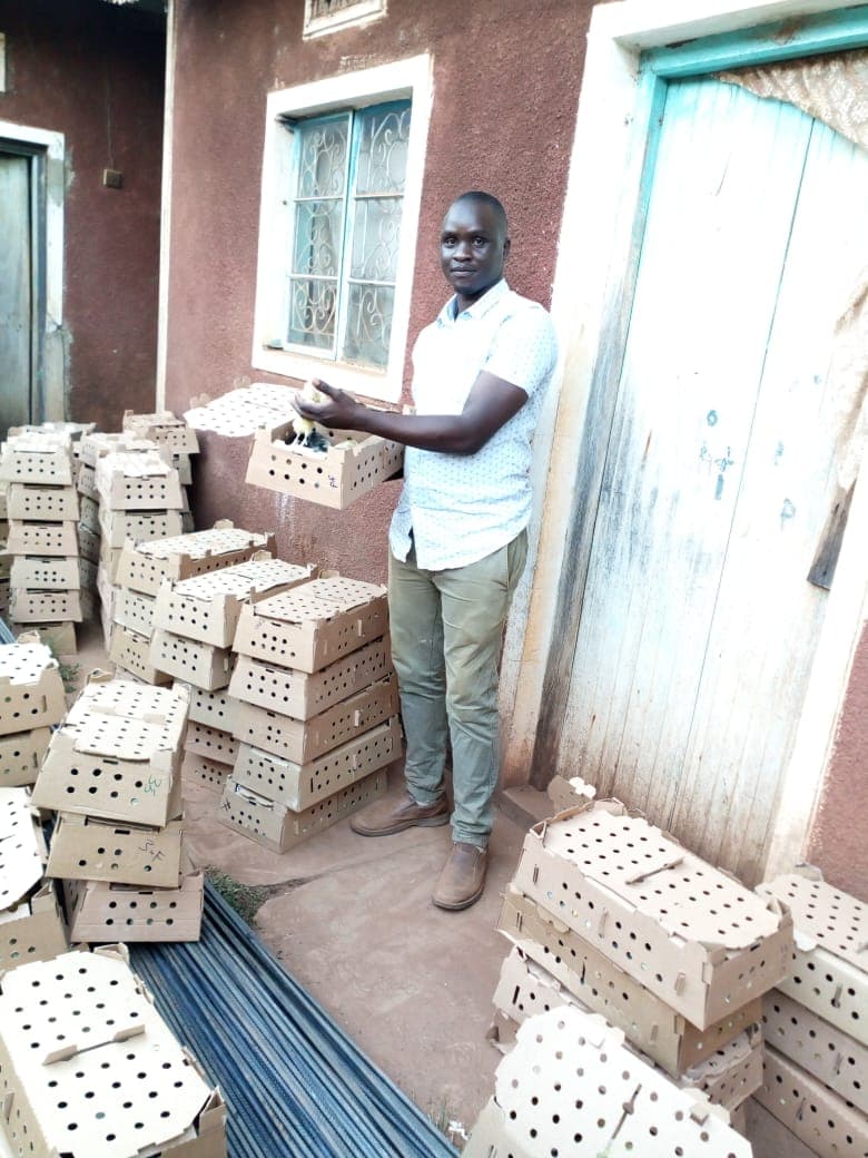 Procurement graduate who failed to land a job earns big from poultry farming