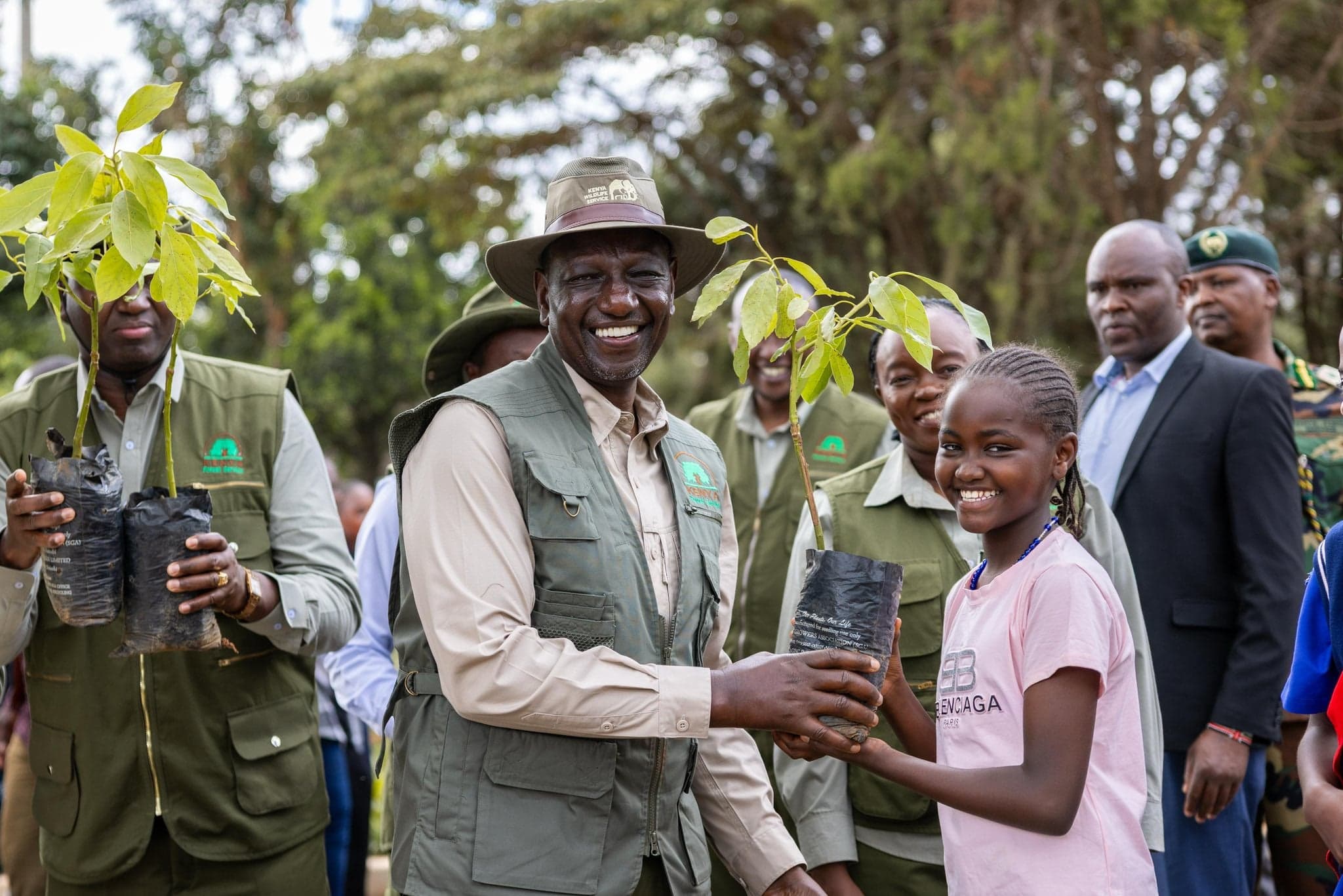 Opinion | Why the Destruction of Forests is an Existential Threat to Kenya’s Future