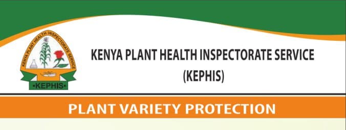 Steps to follow in certifying seeds