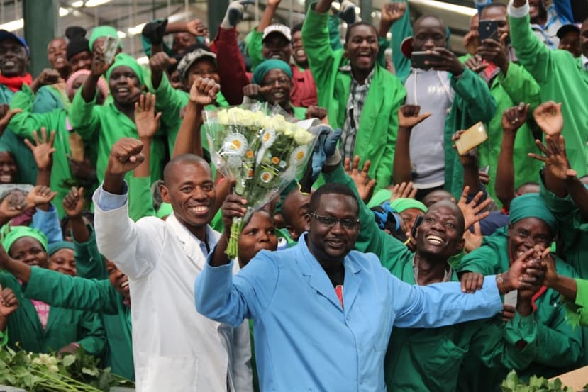 Oserian’s vuvuzela flower variety gains popularity in Kenya