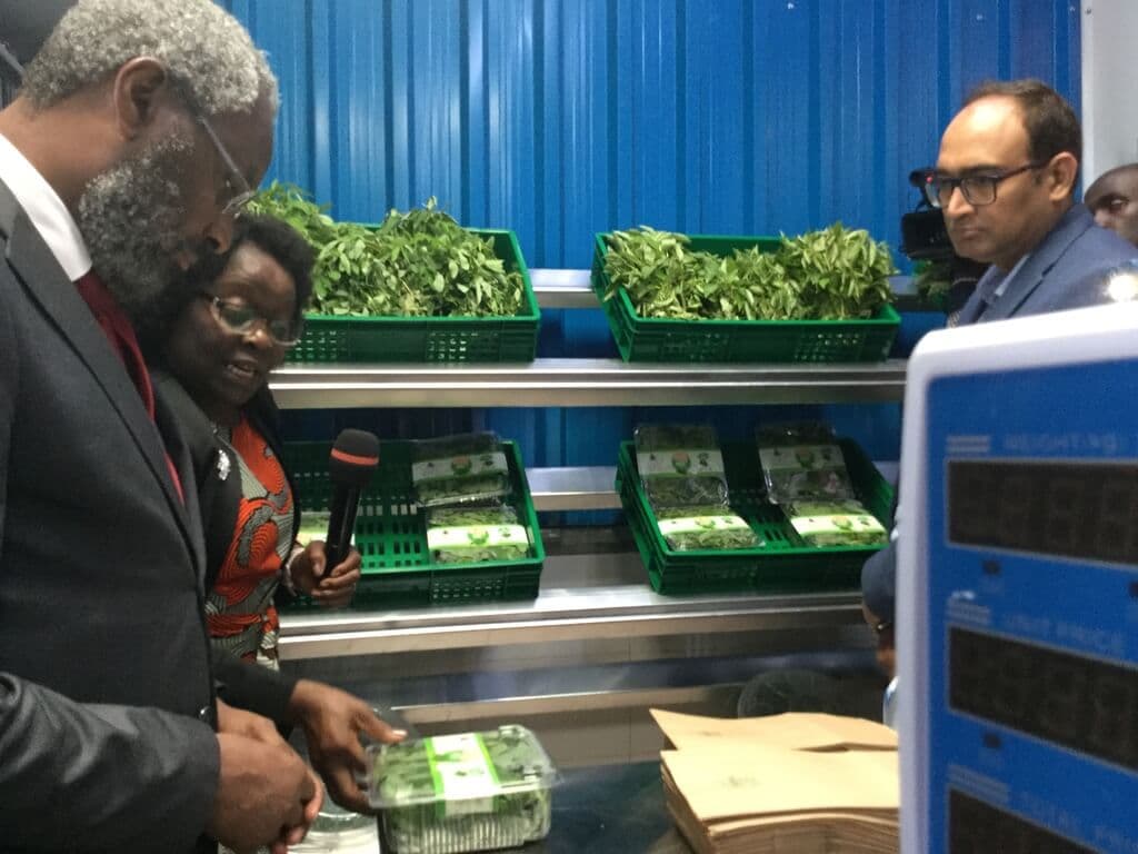 UON hub to offer cold storage, market linkages to kienyeji vegetable & fruit farmers
