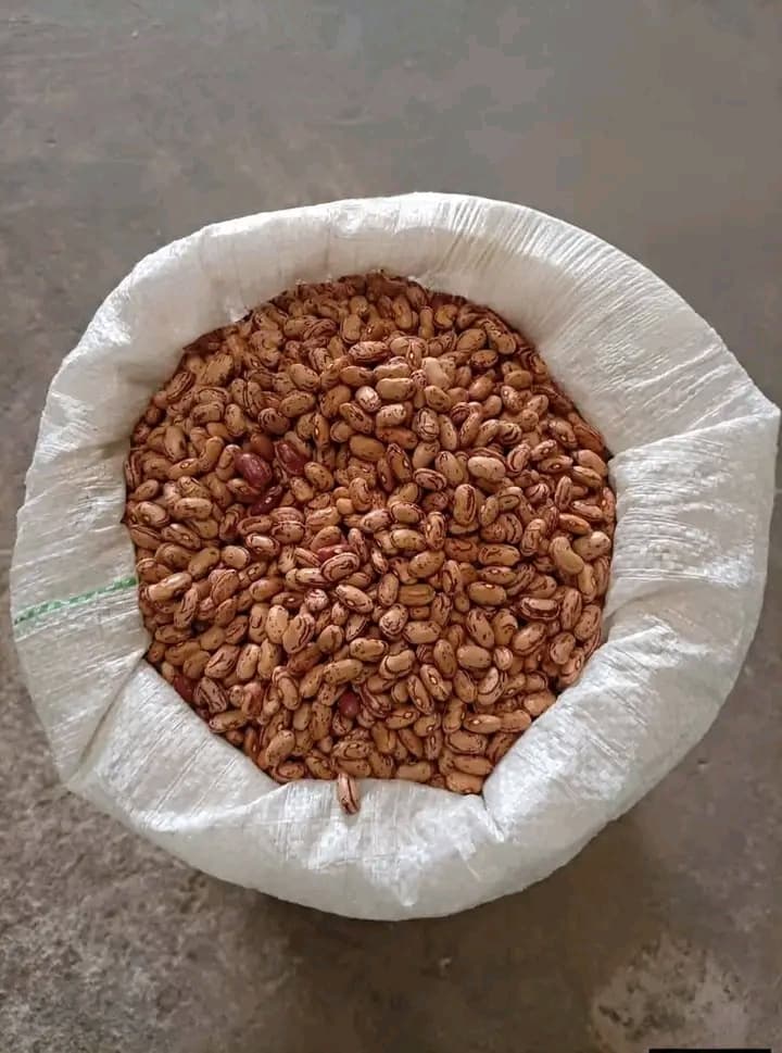 Farmers urged to expand beans production