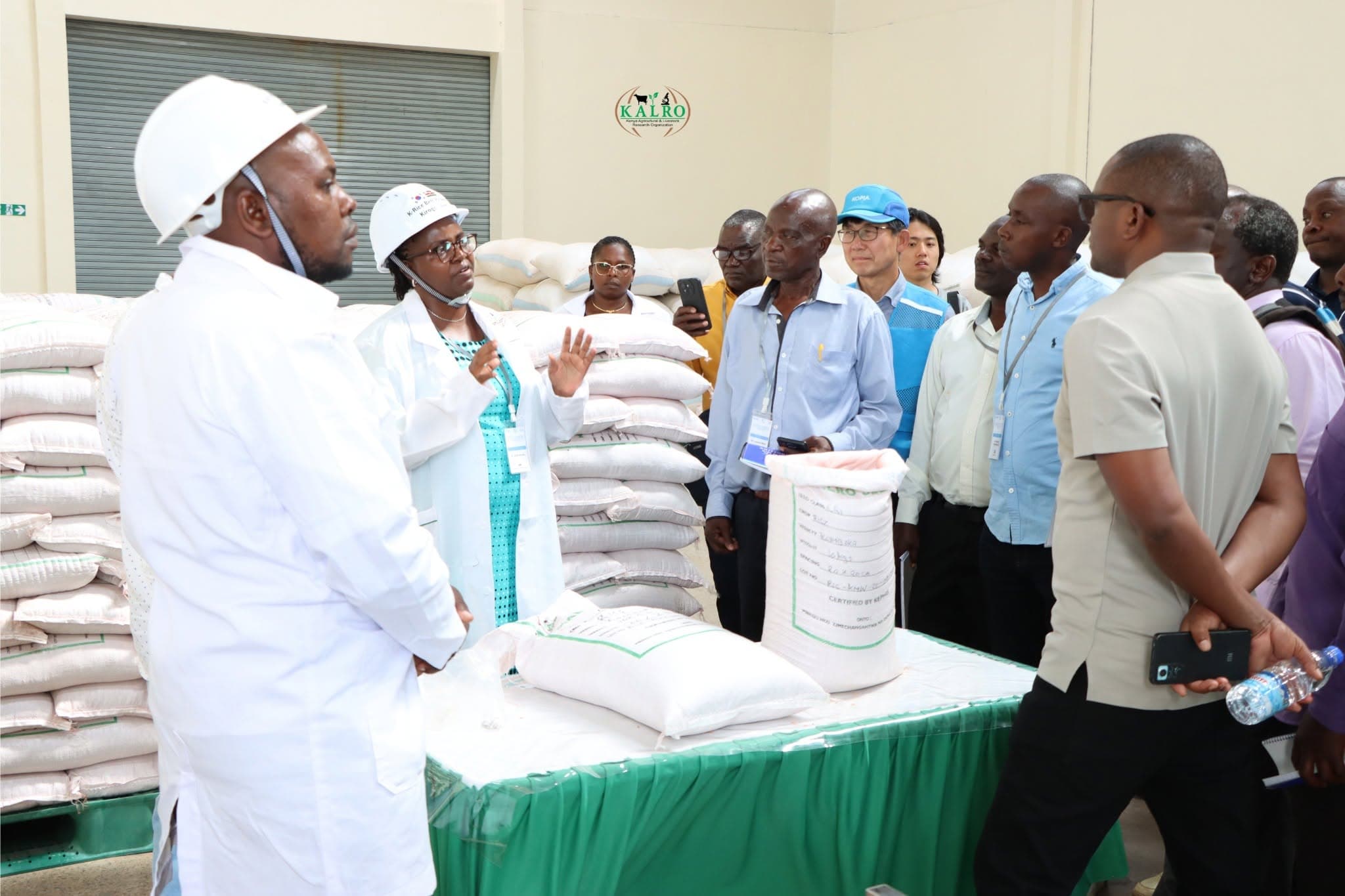 KALRO strengthens capacity in quality rice seed production, processing