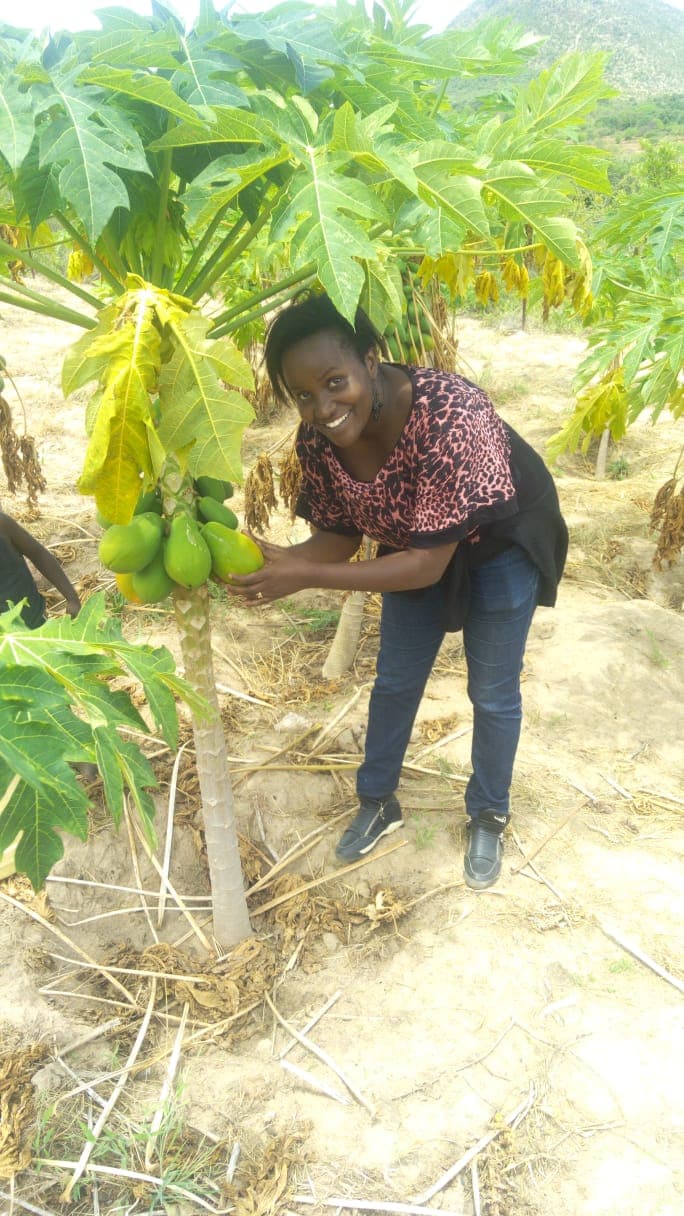 Resilient farmer earns Sh100,000 a month from pawpaw and passion farming after losing Sh446,000 in watermelon